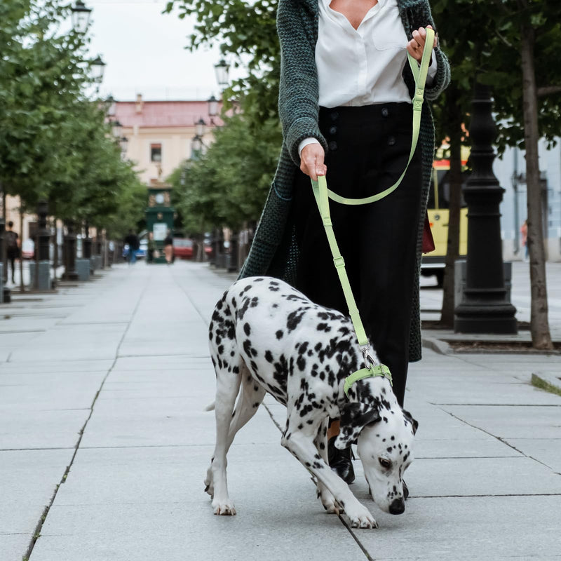 Wisedog Durable Two Handle Dog Leash: Dog Leash Heavy Duty with Dual Soft Padded Handles, Adjustable Length as Short Leash for Medium Large Dogs (Sage Green, M|4.2 ft-5 ft) Sage Green - PawsPlanet Australia