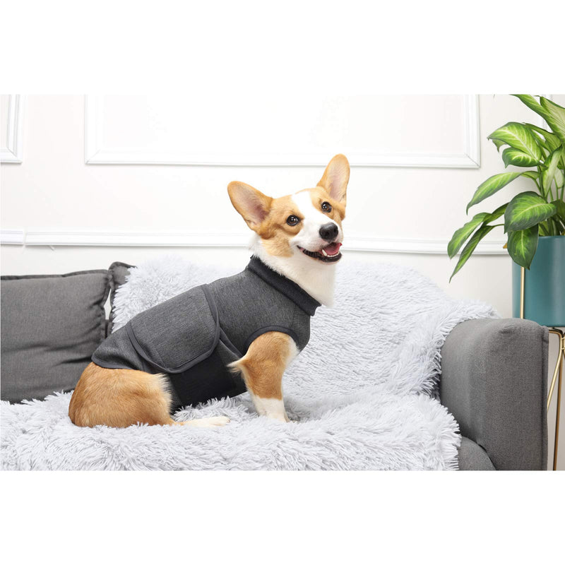 [Australia] - Glorisun Dog Anxiety Shirt - Lightweight Jacket for Canines of All Ages - Calming Compression Shirt Soothes Muscles, Joints, and Pain XS(Back:9.84"-11.81"; Weight:4.4lb-8.8lb) Dark Grey 