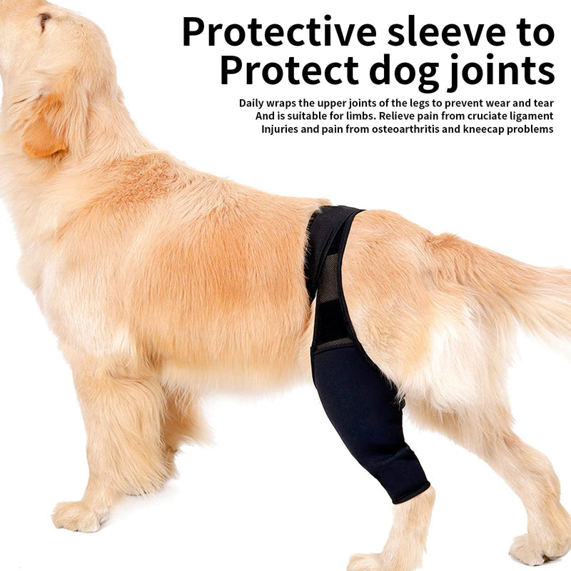 CHUNWILL Elbow Pads for Dogs Post-Operative Suit for Dogs and Cats Original Knee Pads for Dogs for Cruciate Ligament Injuries Dislocated Kneecaps Osteoarthritis（Talla L） - PawsPlanet Australia