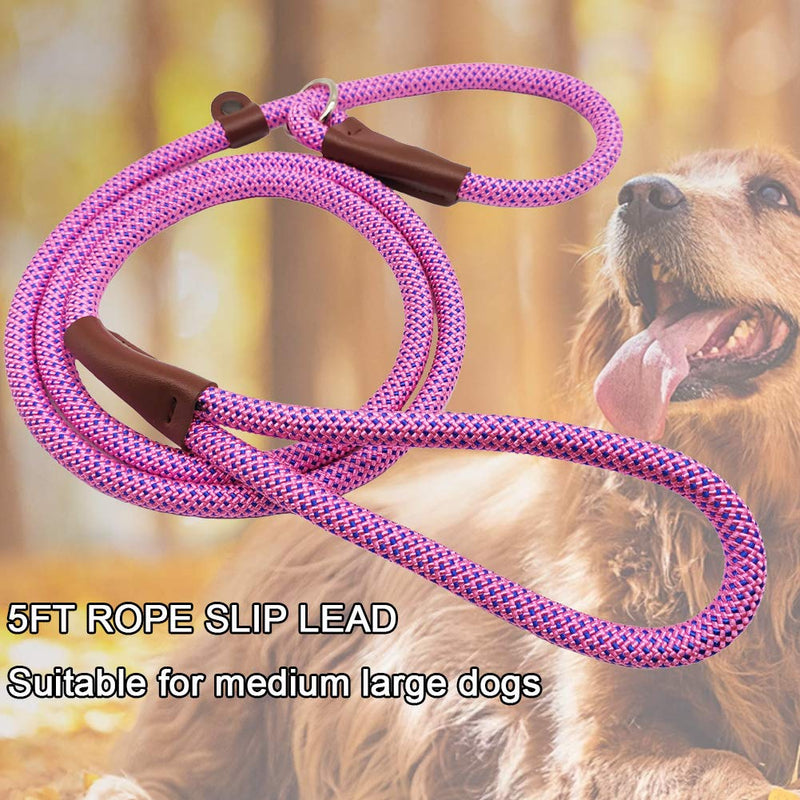 BTINESFUL 5FT Durable Slip Lead Rope Dog Leash, No Pull Nylon Training Leash for Medium Large Dogs, 1/2" X 5', Pink-Blue Dot 5 Foot (Pack of 1) pink blue dot - PawsPlanet Australia