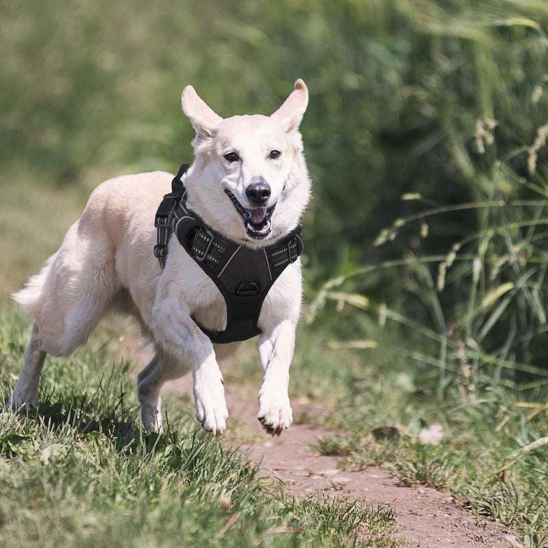 Belababy No Pull Dog Vest Harness Front Clip Handle, Reflective Easy Control Outdoor Walking Training Mini Medium Large Dog Harness, Breathable Chest Padded Mesh Adjustable Harnesses Black S (Neck: 11-17"|Chest: 16-21") - PawsPlanet Australia