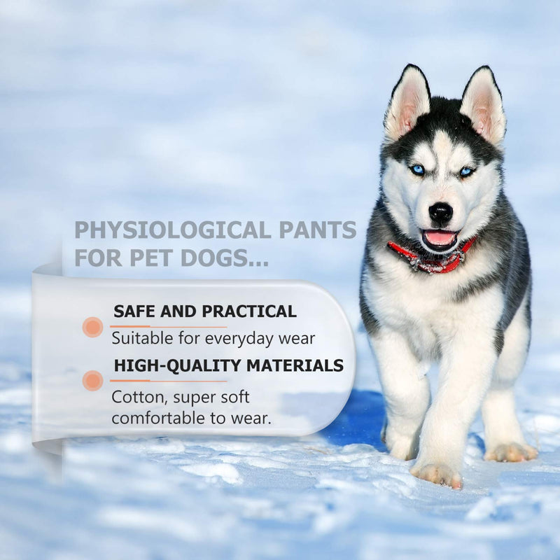 UEETEK 3pcs Dog Diaper Pet Physiological Pants Washable Dog Sanitary Shorts Panties Menstruation Underwear Briefs Female Dog Underpants Nappy XXL - PawsPlanet Australia