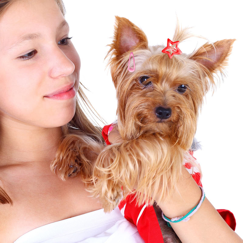 MTLEE 40 Pieces Dog Hair Clips Pet Hair Barrettes Dog Hair Accessories Clip Pet Grooming Products Small Snap Hair Clips Cute Pet Hairpin Headwear for Dog Cat Puppy Pet, 20 Pairs - PawsPlanet Australia