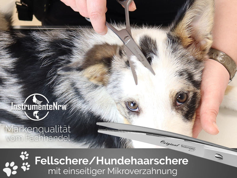 Solingen fur scissors Dog scissors Made in Germany Hair scissors curved with one-sided micro-serration made of stainless steel Dog hair scissors for grooming dogs, cats, pets (7 inches) 7 inches - PawsPlanet Australia