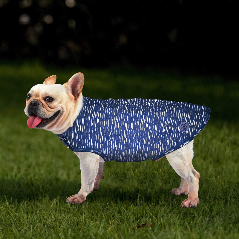 [Australia] - PROPLUMS Reflective Dog Winter Jacket, Windproof Waterproof Dog Sweater for Cold Weather with Reflective Strips Best Gift for Small Medium Dogs M [11''-13''] 