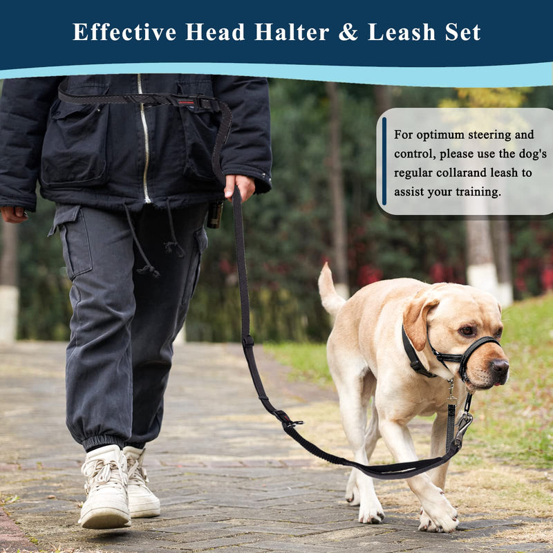 Head Collar for Dogs, No Pull Head Halter Stop Dog Pulling, Durable Dog Walking Training Headcollar with Strong Leash for Medium Large Dogs S (Snout: 6.3"-11") Headcollar / Hands-Free Dog Leash - PawsPlanet Australia