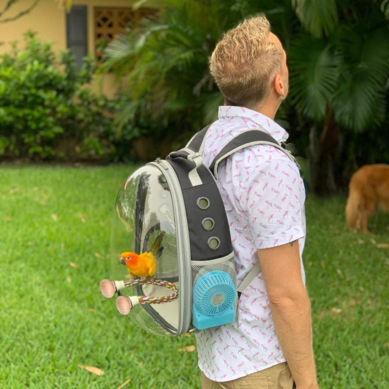 Bird Carrier Backpack, Bubble Bird Travel Carrier Backpack with Stainless Steel Tray Food Cup Standing Perch Black - PawsPlanet Australia