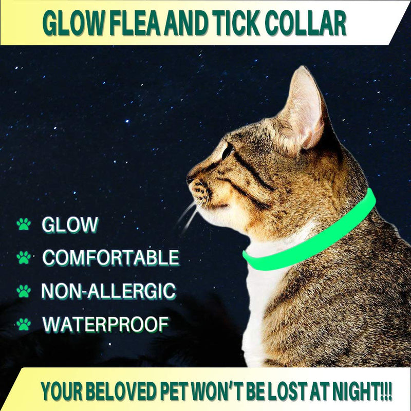 ZSIIBO Cat Flea Collars Flea Treatment Cat Collar Lights for the Dark Waterproof Adjustable Size 8 Months Protection Natural Essential Oils Flea Collar Dogs 38cmï¼14.9inï¼ - PawsPlanet Australia