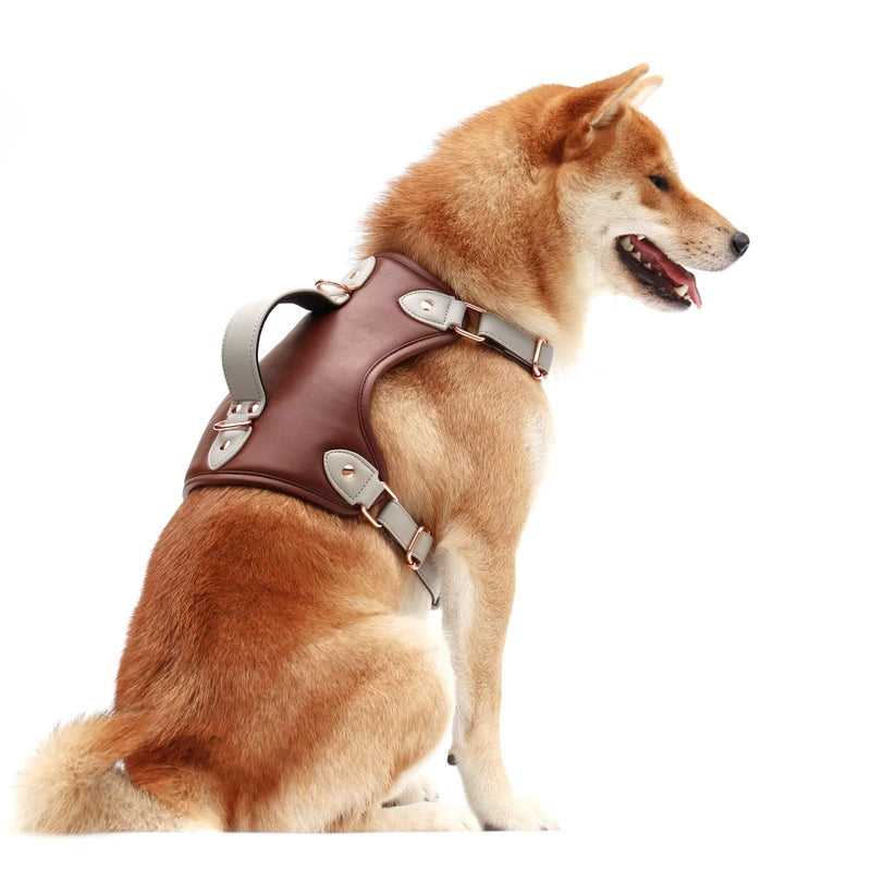 Forestpaw No Pull Dog Harness for Large Dogs,Adjustable Leather Dog Harness with Handle,Soft Padded Pet Harness with Durable Metal Buckles Medium Sized Dog(Brown,Chest 19-21") M:Neck 18-20",Chest 19-21" Brown - PawsPlanet Australia