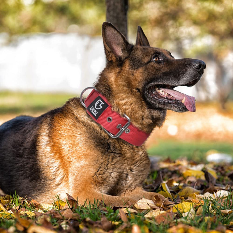 TSPRO Tactical Dog Collar, 3.8cm Wide, Military Grade, Strong Dog Collar, Thick Dog Collar, Heavy Duty Metal Buckle, Dog Collar Red-M(Red-M) Size M-(adjustable 44.5-52cm) - PawsPlanet Australia