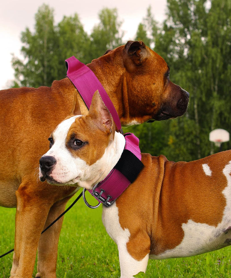 Dog Collar for Large Dogs - 2 in Hot Pink Collars with Handle for Extra Large Breed Dogs, Heavy Duty K9 Nylon Pet Tactical Collar XL, Best Choice for Pitbull German Shepherd Doberman Rottweiler 17"-22" - PawsPlanet Australia