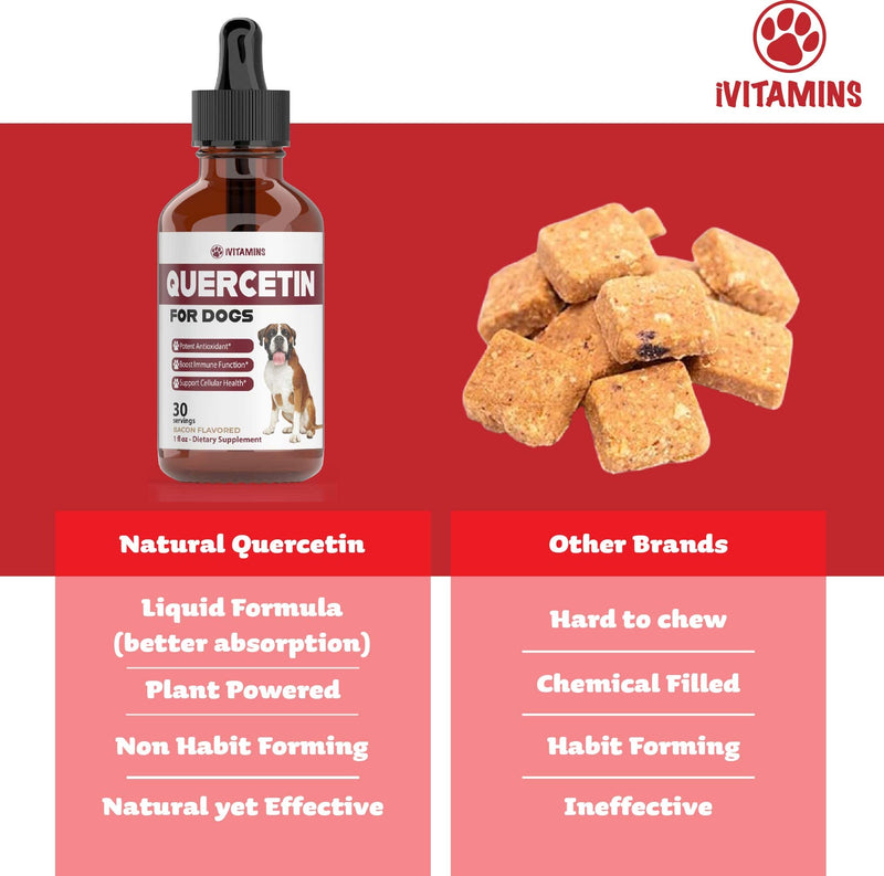 Quercetin for Dogs | Dog Allergy Relief | Quercetin for Dogs Allergies | Dog Allergy | Quercetin | Dog Allergy Support | Quercetin Dog | Dog Allergies | Quercetin Supplements | 1oz: Bacon Flavor - PawsPlanet Australia