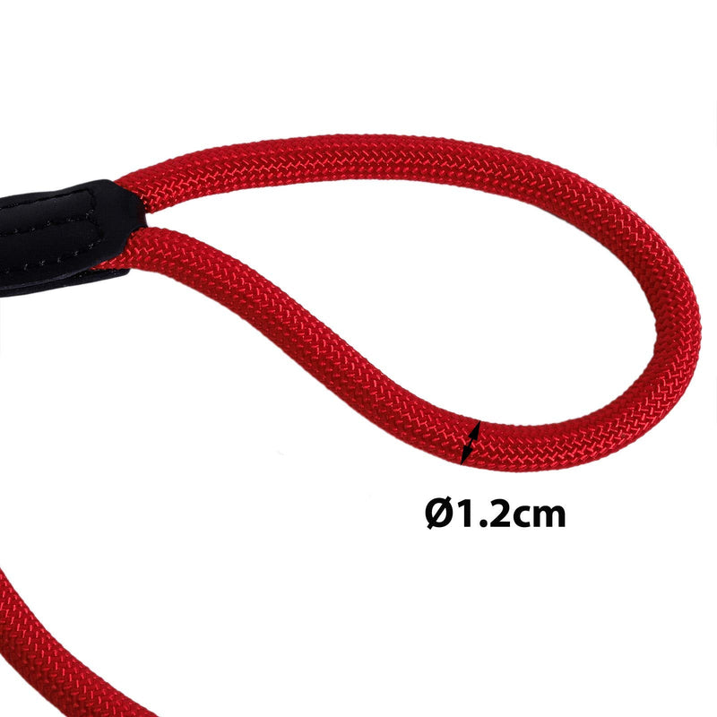 lionto retriever leash, dog leash, leash, robust, weatherproof, length 120 cm, red - PawsPlanet Australia