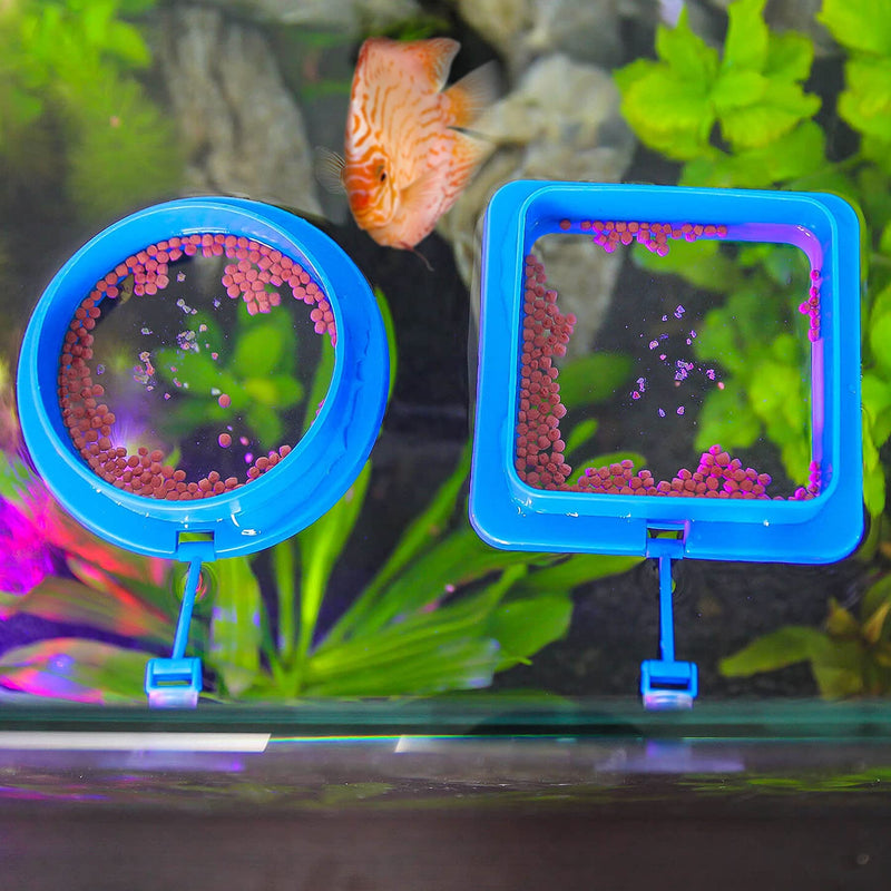 Fischuel Aquarium Feeding Ring Floating Rings Food Feeder Feeding Trough with Suction Cup for Fish Feeder，Round Shape Round Shape-Blue - PawsPlanet Australia