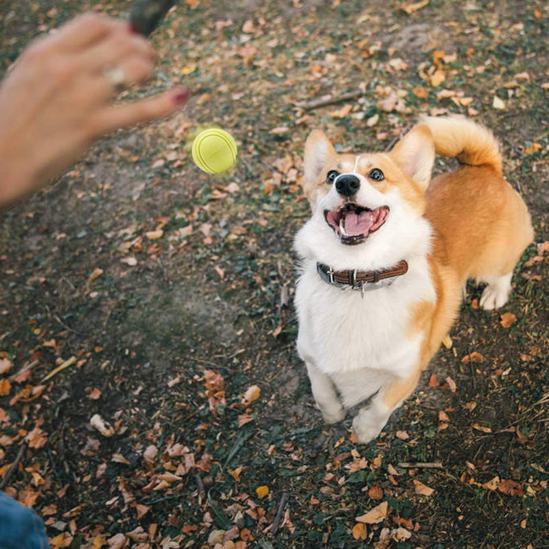 Interactive Dog Toys Ball - 5 Pack Different Functions Rubber Balls - Dog Squeaky Balls, Durable Dog Chew Ball, Dog Treat Ball Food Dispensing Toy for Teething, Fit for Small Medium Large Dogs - PawsPlanet Australia