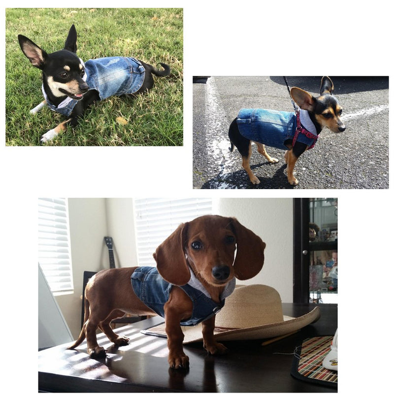 SILD Pet Clothes Dog Jeans Jacket Cool Blue Denim Coat Small Medium Dogs Lapel Vests Classic Hoodies Puppy Blue Vintage Washed Clothes Grey - PawsPlanet Australia