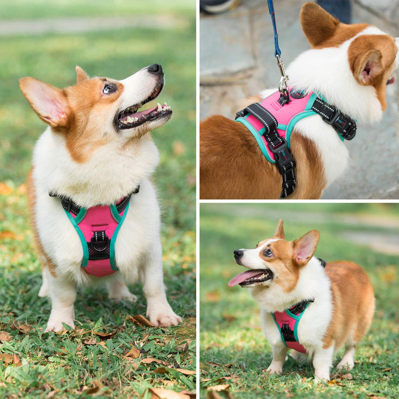 PHOEPET 2019 Upgraded No Pull Dog Harness, Unique Colors Reflective Adjustable Vest, with a Training Handle + 2 Metal Leash Hooks+ 3 Snap Buckles +4 Slide Buckles [Easy to Put on & Take Off] XS Pink - PawsPlanet Australia