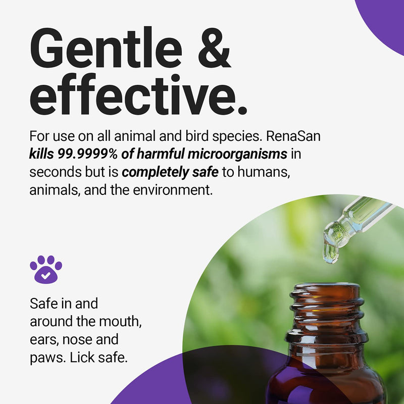 RenaSan Antiseptic Ear Drops (100 ml) – Alcohol-Free, Non-Irritating, Ear Antiseptic and Disinfectant for Dogs, Cats, All Domestic & Farm Animals (PACKAGING MAY VARY) - PawsPlanet Australia