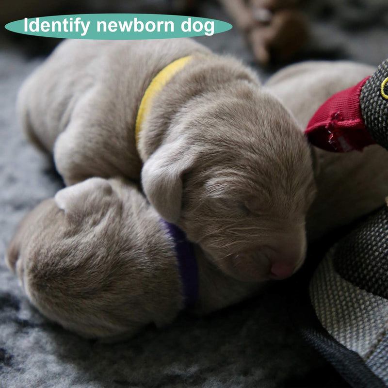 AIEX 12 pcs 30cm Assorted Colors Puppy ID Collars Whelping Collars Newborn Dog Kitten Band Adjustable Identification Collar for Pet - PawsPlanet Australia