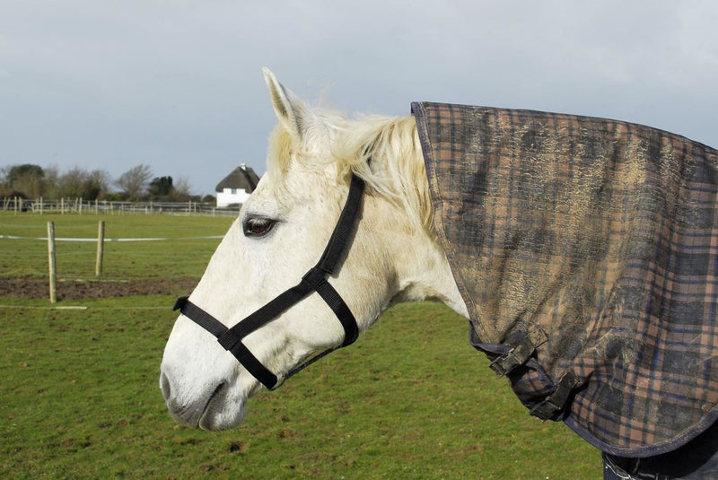 Rhinegold (Metal Free) Field Safe Headcollar Cob Black - PawsPlanet Australia