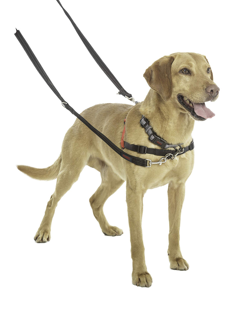 Halti Training Lead for Dogs, Dog Lead to Stop Pulling on Walks, Available in Sizes Small and Large, Large, Black - PawsPlanet Australia