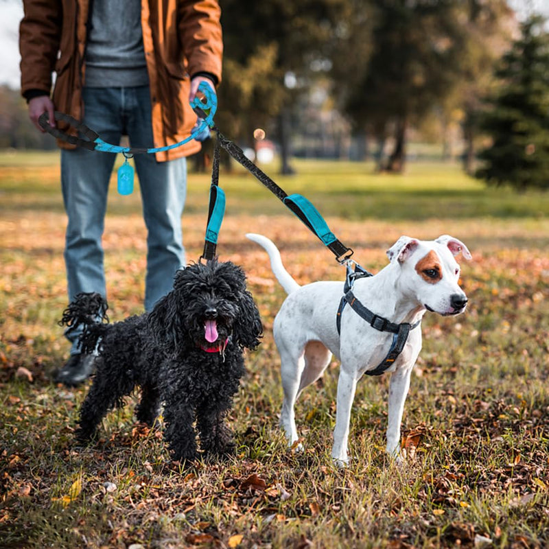 Palwin Double Leash for 2 Dogs, Double Dog Leash, Classic Dog Leashes, for Two Dogs, Adjustable Shock-Absorbing Bungee Reflective Leash for Dogs Small Medium and Large Running Training - PawsPlanet Australia