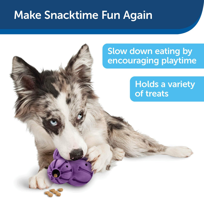 [Australia] - PetSafe Busy Buddy Barnacle Treat Dispensing Dog Toy Medium 