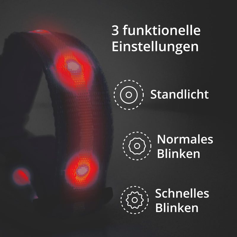 Luminous collar for dogs [The original] Luminous LED dog collar for walking even in the dark - very long battery life - safe thanks to high-quality metal clasp (red, L) L (48-60 cm) red - PawsPlanet Australia