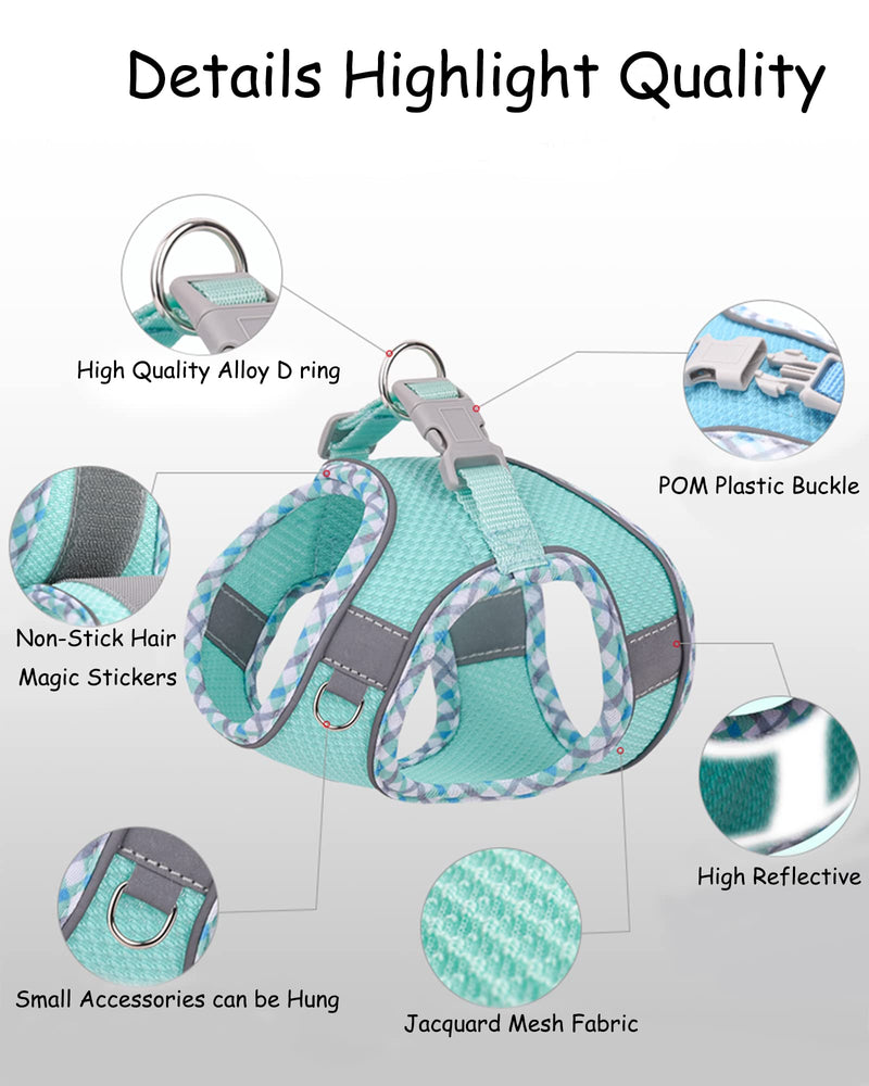 Petank Dog Harness for Small Medium Large Dogs No Pull, Puppy Harness and Leash Set, Easy Walk Dog Harness for Walking, Running, Training, Small Dog Harness, Medium Dog Harness (Green, XS) Green - PawsPlanet Australia