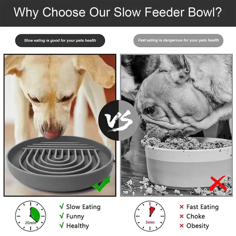 Silicone Slow Feeder Dog and Cat Bowl | Pet Slow Food Bowl | All Breed Sizes | Promote Healthy Digestion | Silicone Puzzle Slow Feeder Bowl | Safe Pet Slow Eating | Non-Slip - PawsPlanet Australia