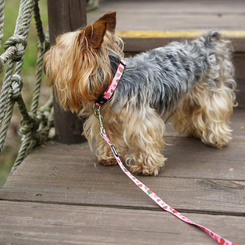 [Australia] - azuza Dog Collar and Leash Set, Cute Fruit Patterns, Adjustable Nylon Collar with Matching Leash for Small Medium and Large Dogs S (Neck: 11"-16") Strawberry 