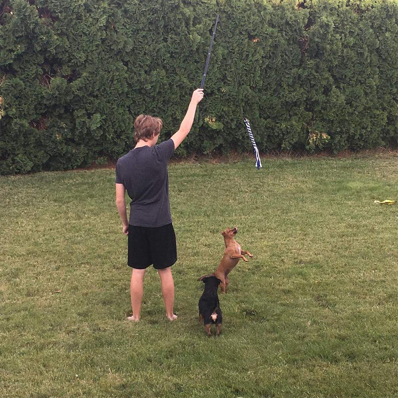 Dog Flirt Pole for Dogs Large Dog Teaser Pole Lure Stick Dog Training, Outdoor Lure Stick Extendable Pet Training Chewing Rope(Black,size:L) - PawsPlanet Australia