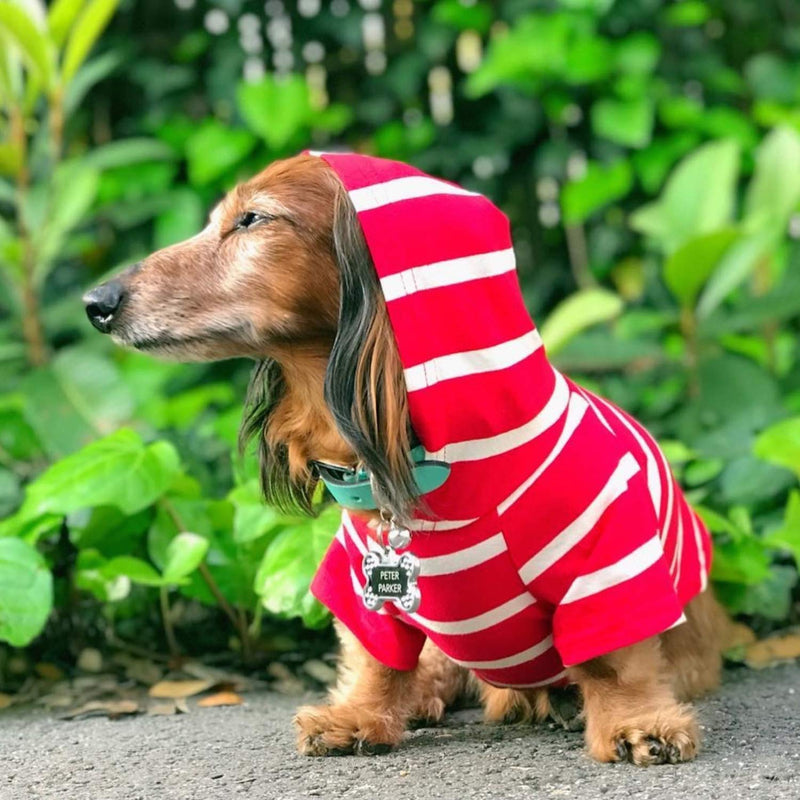 [Australia] - DJANGO Dog Hoodie and Super Soft and Stretchy Sweater with Elastic Waistband and Leash Portal Small Red 