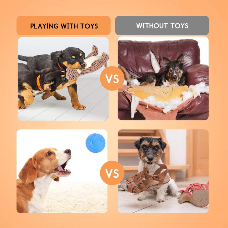 Nobleza - Toys for Dogs, Food Treatment Teething Ball, Durable Filled Squeaky Plush Toy, Dog Chew Rope Toy Durable Teething Pack for Puppy, Dog Toy Gift Set with Box, 5pc Pack - PawsPlanet Australia