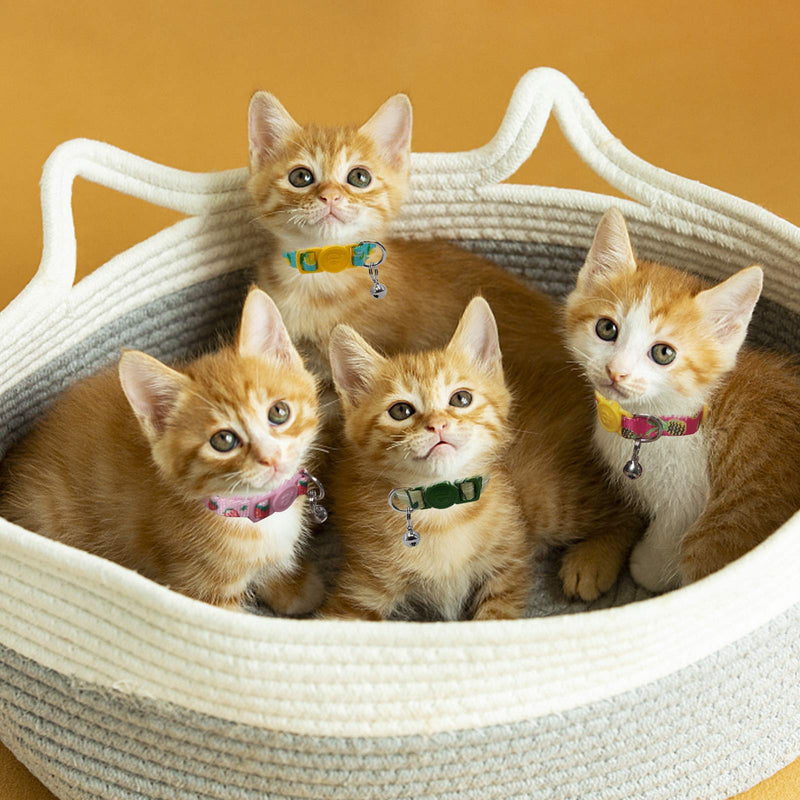 azuza Cat Kitten Collar Breakaway with Bell Quick Release Safe Buckle Adjustable Cat Kitten Collar Kitten Collar ( 6“-8”) - PawsPlanet Australia