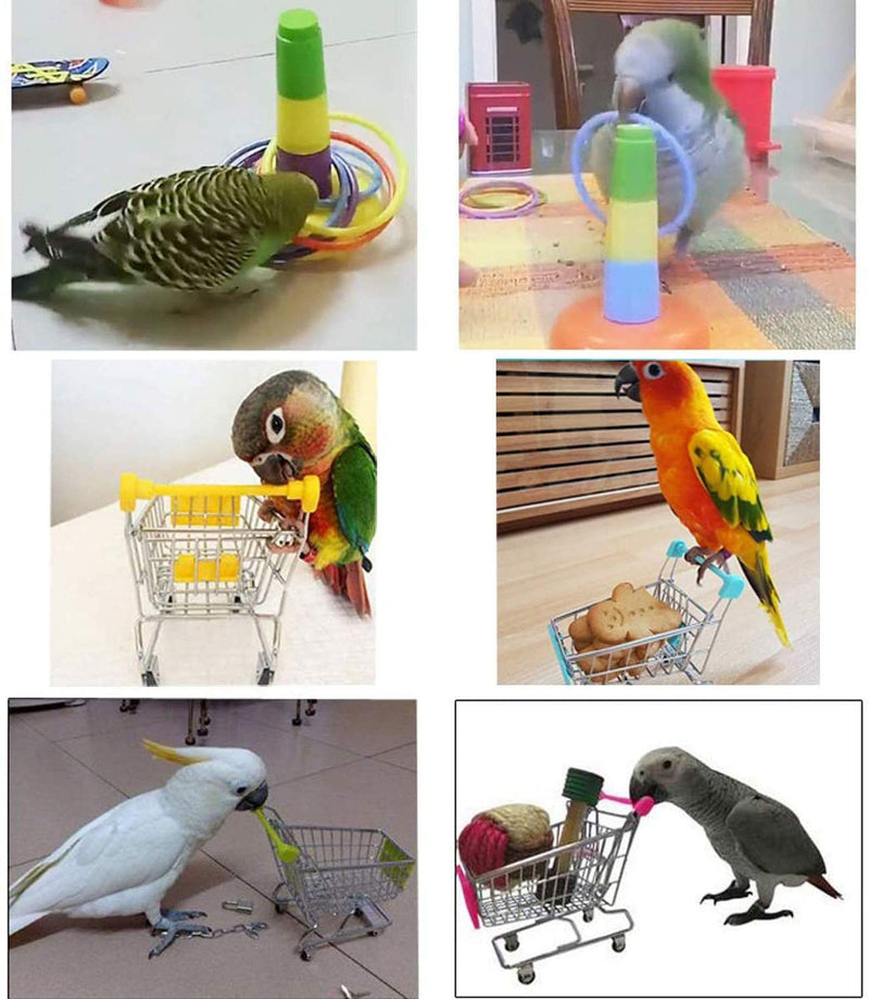 Wonninek Parrot Puzzle Toys Set Parrot Skateboard Trolley Bell Ball Ferrule Bird Educational Training Toy for Cockatiel Budgies Parakeet 3 Pack - PawsPlanet Australia