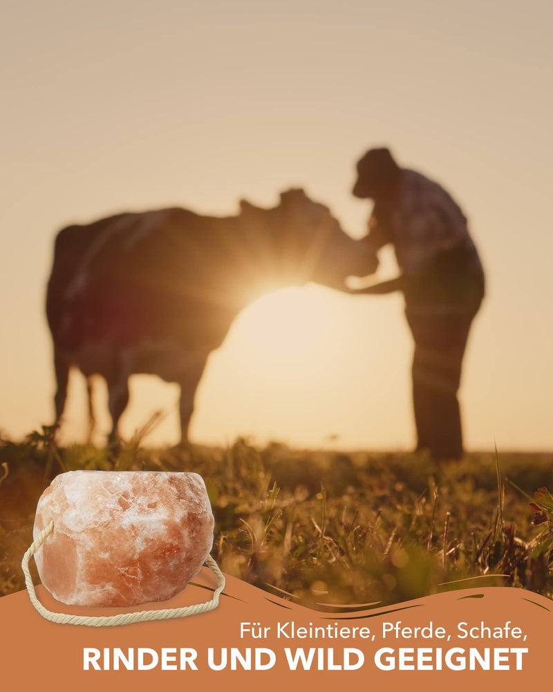 High-quality salt lick stone “Rock Crystal” 4 x lick stones with cord, total approx. 8 kg, for horses, sheep, cattle, game, livestock salt - mineral lick stone - premium lick stone - PawsPlanet Australia