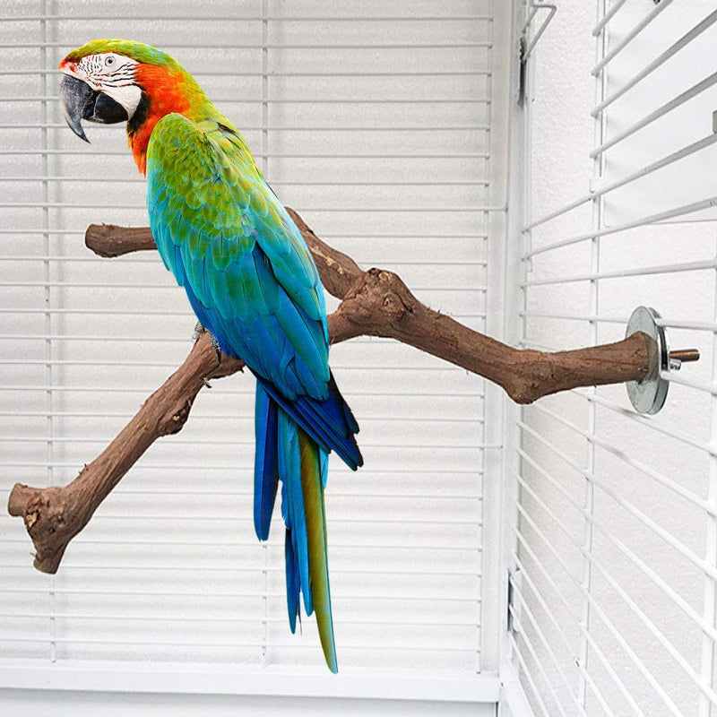 [Australia] - PINVNBY Natural Parrot Perch Bird Grape Standing Pole Stick Wild Paw Grinding Fork Parakeet Climbing Branches Toy Chewable Cage Accessories for Small Budgies Lovebirds 