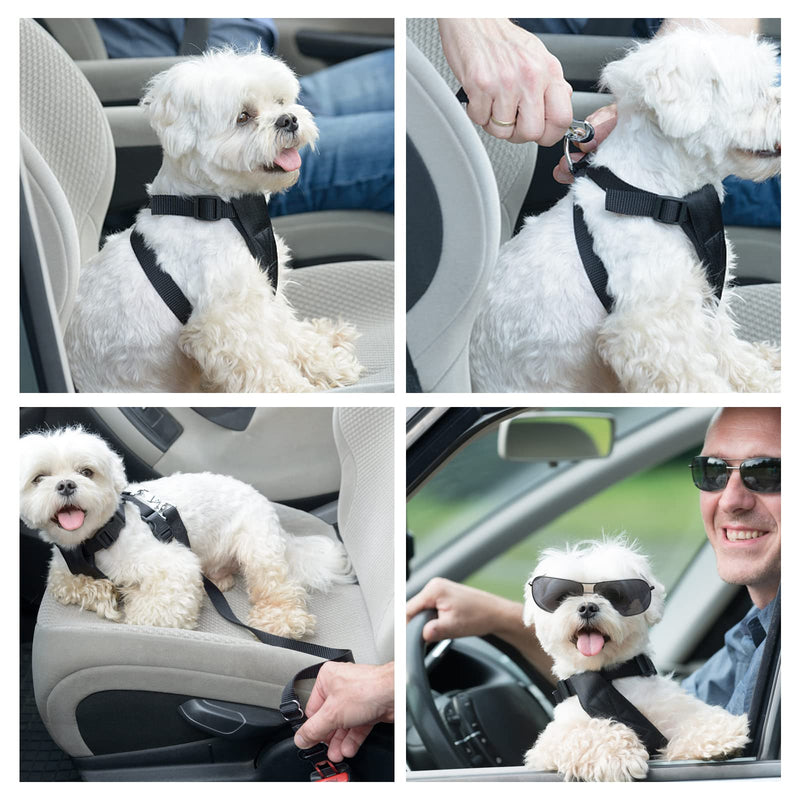 GGISUI 2pcs Dog Seat Belt Adjustable Dog Seat Belt 42-70cm Car Belt Dog Travel Accessories for All Dog Breeds Cats Car Types Black Blu - PawsPlanet Australia