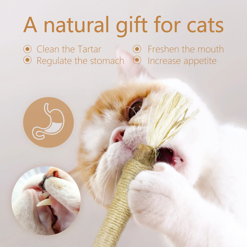 Bianan Catnip Toys 3 Pack Cat Toys for Indoor Cats Interactive Cat Toy with Natural Silvervine Sticks Kitten Toys for Calm Cat Anxiety and Stress Teeth Cleaning Kitten Supplies for All Ages Cats - PawsPlanet Australia