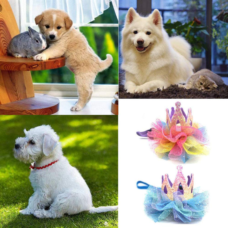 Lepidi 2 Pieces Dog Birthday Hat, Dog Crown Hat, Dog Crown Hair Clip, Birthday Party Flower Crown Hat, Adjustable Adorable Crown Lace Dog Hair Accessories for Festival, Christmas (Purple, Blue) - PawsPlanet Australia