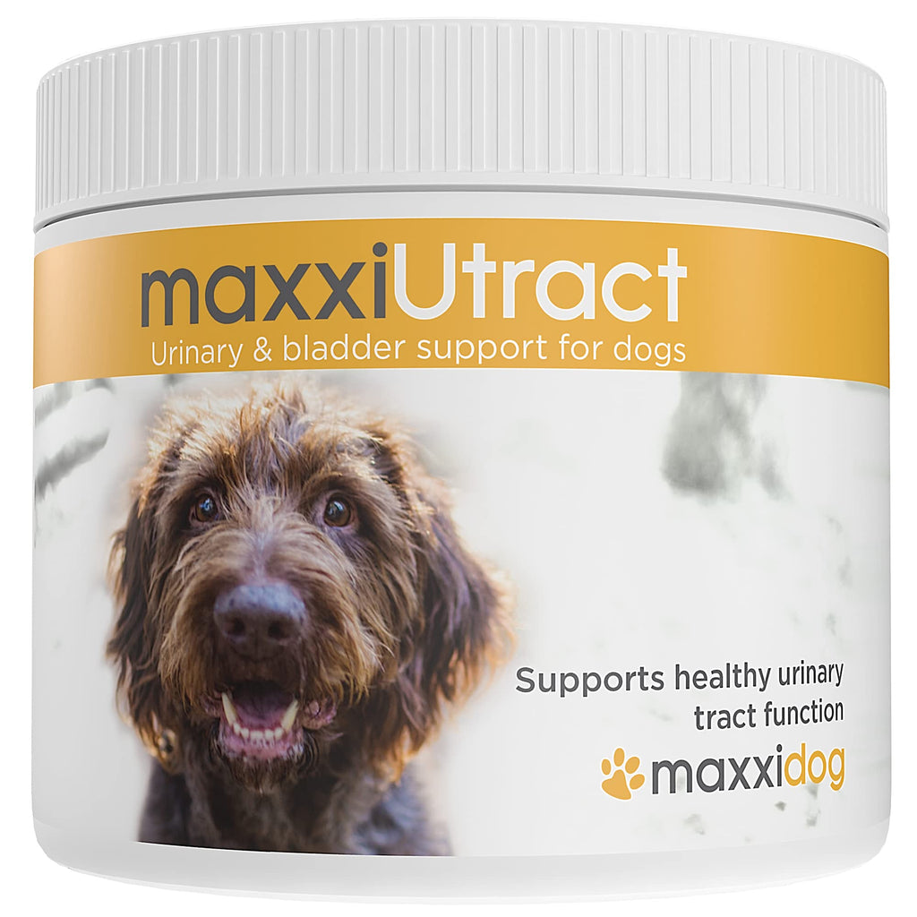 maxxipaws | maxxidog – maxxiUtract Cranberry Urinary & Bladder Supplement for Dogs | Powder 150g - PawsPlanet Australia