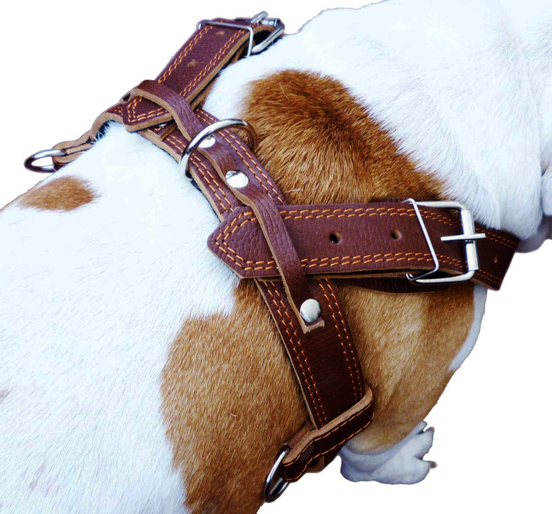 [Australia] - Genuine Brown Leather Dog Pulling Walking Harness XLarge. 33"-37" Chest 1.5" Wide Straps, Padded 