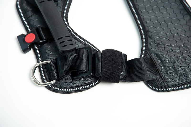 DogMaster 2.0 dog safety belt, black/black, size S - PawsPlanet Australia