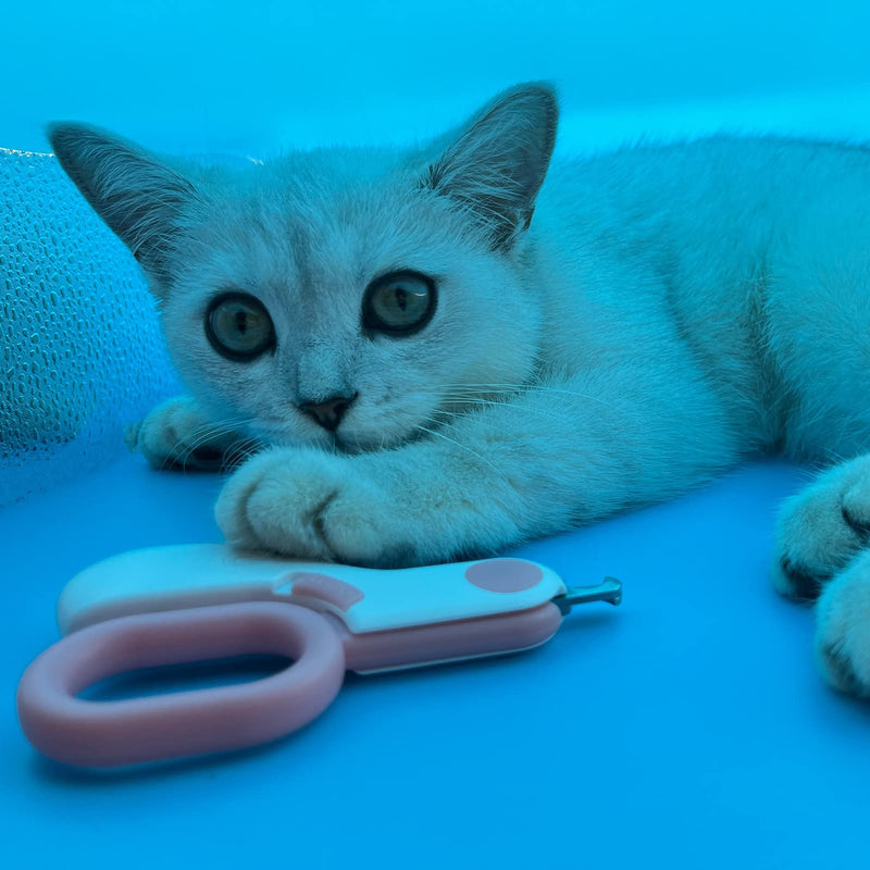 Small Animal Nail Clippers with LED Lights, Dog and cat Nail Trimmers, Professional Claw Trimmer for Tiny Dog Cat Kitten Bunny Rabbit Bird Guinea Pigs Ferret Hamsters. Avoid Excessive Cutting blue - PawsPlanet Australia
