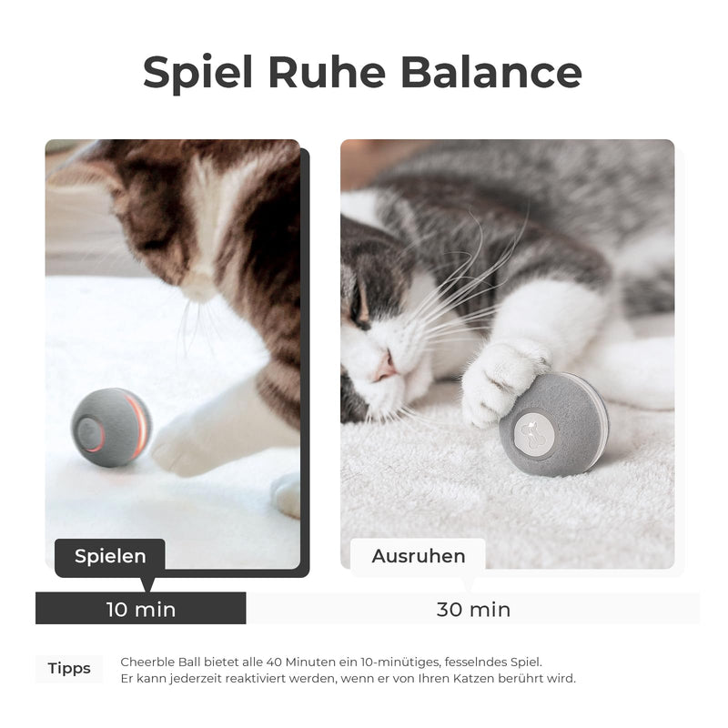 Cheerble Interactive Cat Toy, Intelligent Cat Ball with 3 Modes, LED Lights Changeable, USB Rechargeable, Birthday Gift for Hunting Adult Cats (Gray-N) Gray-N - PawsPlanet Australia