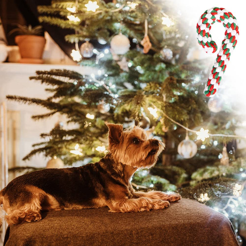 Lircentoud Pack of 3 dog toy rope, dog chew toy Christmas, dog toy Christmas, dog chew toy rope, pet toy Christmas, candy cane toy pet 3 pieces, style 1 - PawsPlanet Australia