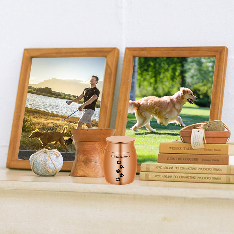 Broadsheet Mini Urns for Human Ashes, Metal Pet Urns for Dogs Ashes Keepsake Urns for Human Ashes, Pet Urns Dog Urns for Ashes Holder-Your Footprint Has Gone, But My Heart was Not (Gold) - PawsPlanet Australia