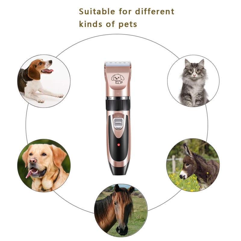 [Australia] - YiG Dog Clippers Low Noise Pet Pet Grooming Clipper, QUSB Rechargeable Cordless Dog Grooming Kit, Electric Pets Hair Trimmers Shaver Shears for Dogs and Cats & Others(Rose Gold) 