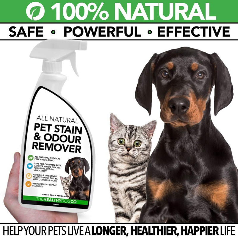 The Healthy Dog Co All Natural Pet Stain and Odour Remover for Dogs & Cats | Enzyme Pet Carpet Cleaner Spray & Deodoriser | Kills Germs, Removes Vomit, Urine, Faeces, Drool, Smells | 1 Litre - PawsPlanet Australia